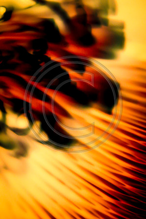 swirls-10