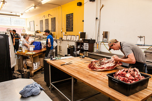 local pig_-16
