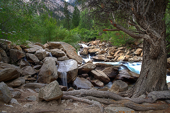 Boulders yield to no limbs