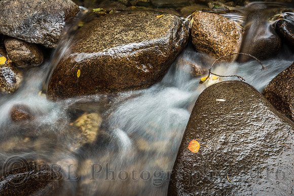 Chalk Creek Aspen