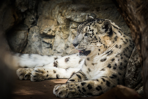 denver zoo 09082014-3