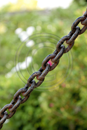 loosepark 2011may16