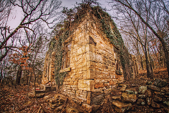 Vine and Stone