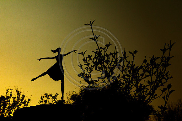 Dance to the Dark
