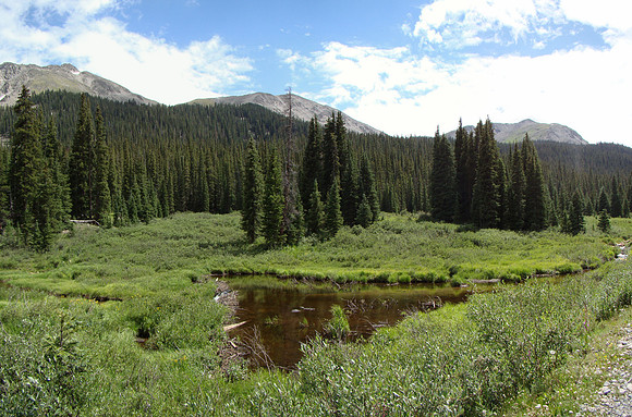 Beaver Pond below Tin Cup Pass