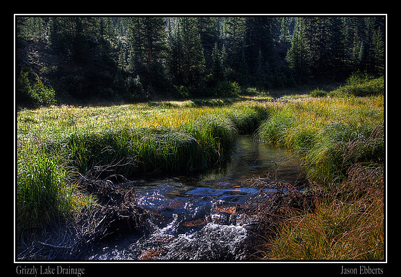 Grizzly drainage