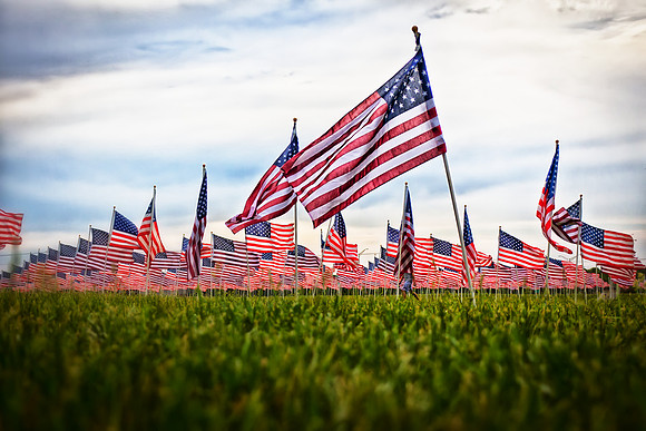 Walking in the Field of Flags