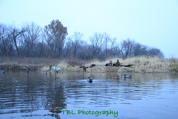 Klima duck hunt_20101122_0083