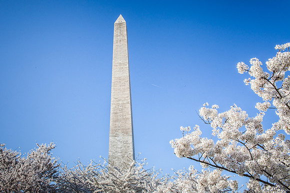 Washington Monument