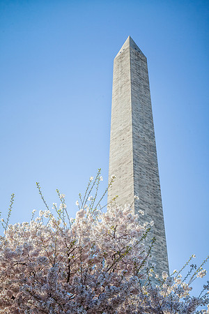 Washongton Monument