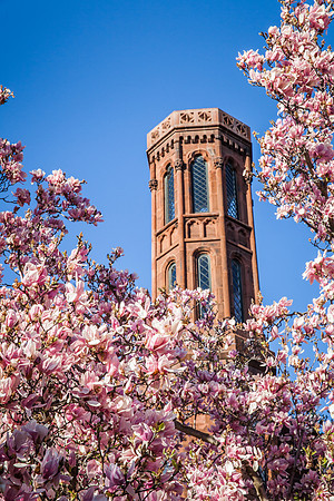 Smithsonian Castle