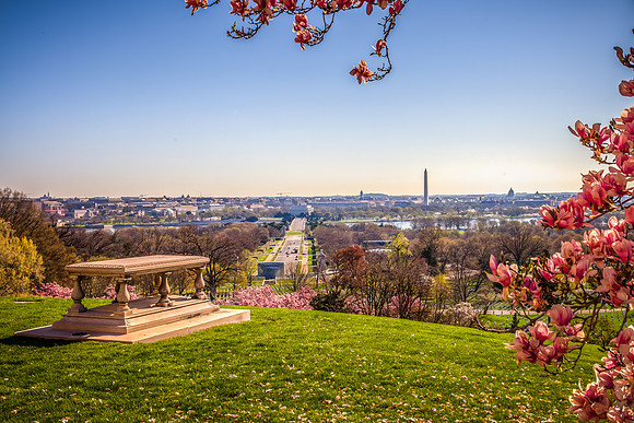 Arlington Cemetery
