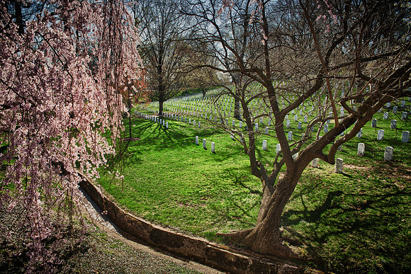 Arlington Cemetery