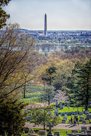 Arlington Cemetery