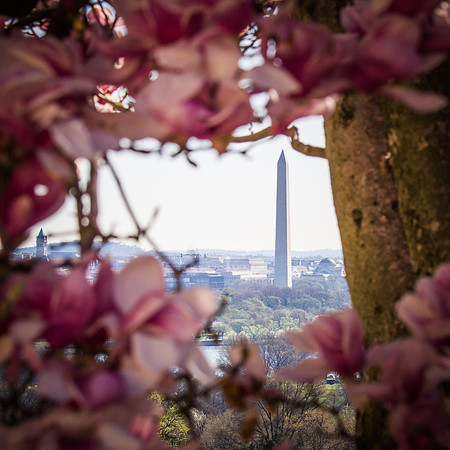 Arlington Cemetery