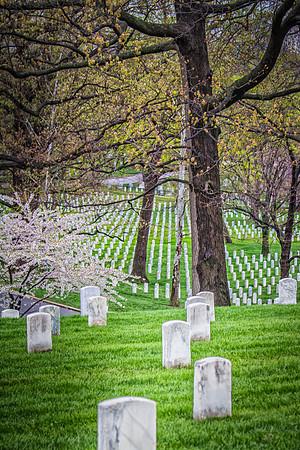 Arlington Cemetery