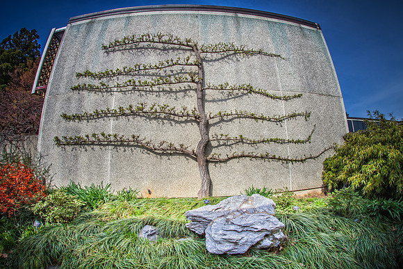 IMG_0267-Edit