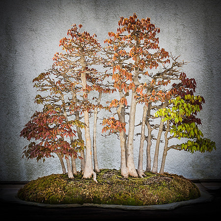 IMG_0301-Edit