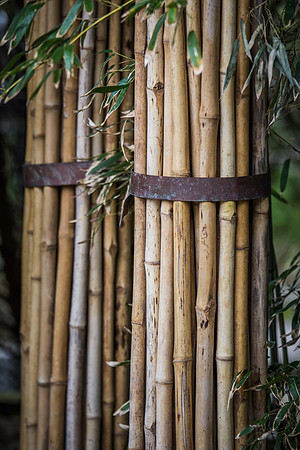 Smithsonian’s National Zoo