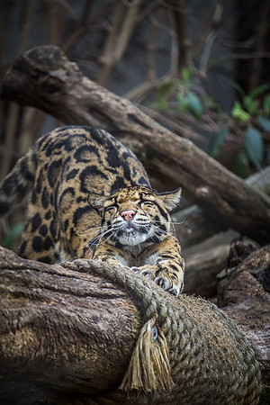 Smithsonian’s National Zoo