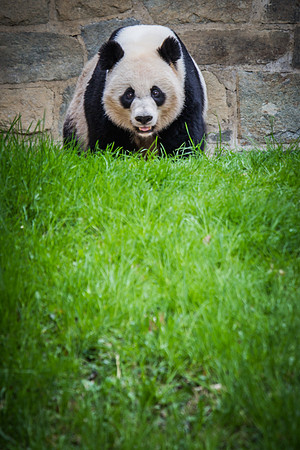 Smithsonian’s National Zoo