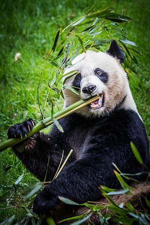 Smithsonian’s National Zoo