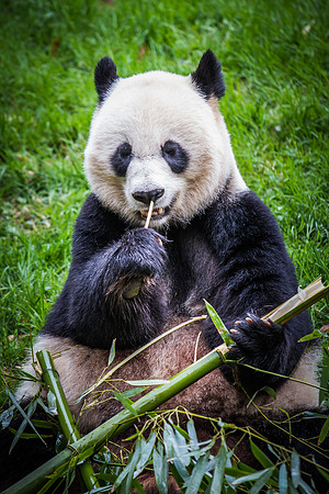 Smithsonian’s National Zoo