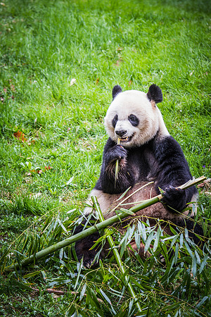 Smithsonian’s National Zoo