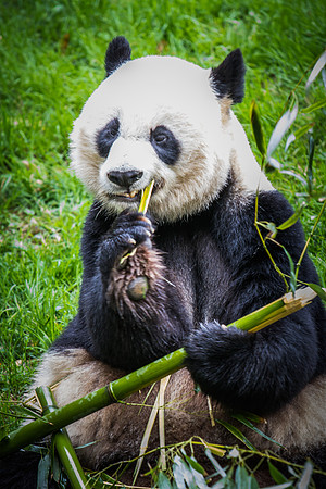 Smithsonian’s National Zoo