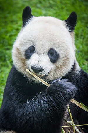 Smithsonian’s National Zoo