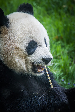 Smithsonian’s National Zoo