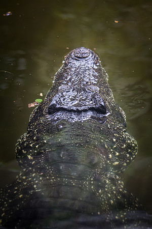 Smithsonian’s National Zoo