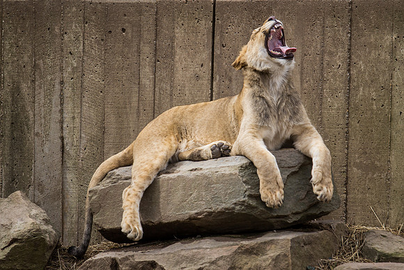 Smithsonian’s National Zoo
