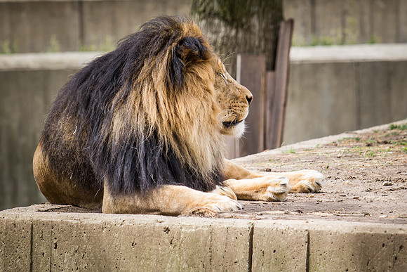 Smithsonian’s National Zoo