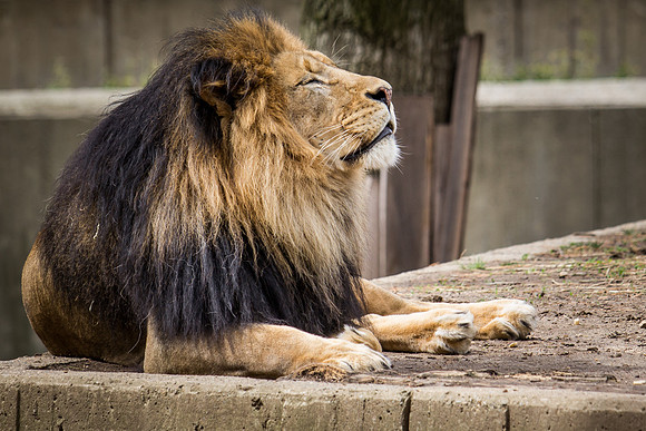 Smithsonian’s National Zoo