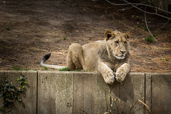 Smithsonian’s National Zoo