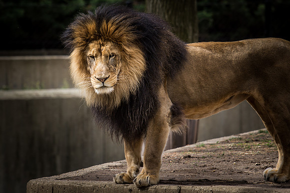 Smithsonian’s National Zoo