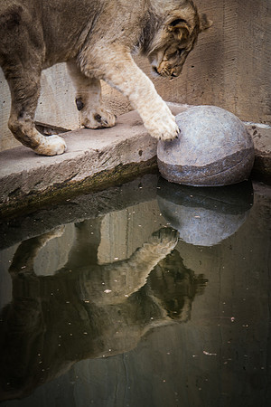 Smithsonian’s National Zoo