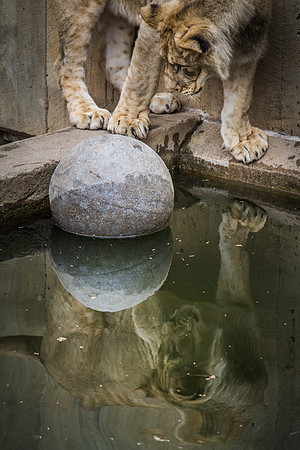 Smithsonian’s National Zoo