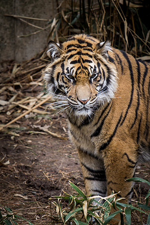 Smithsonian’s National Zoo