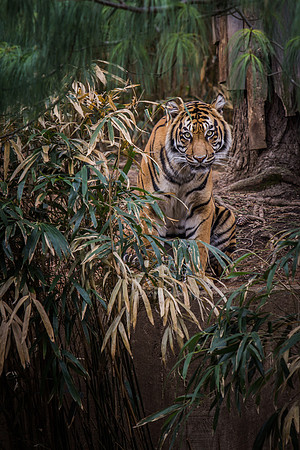 Smithsonian’s National Zoo