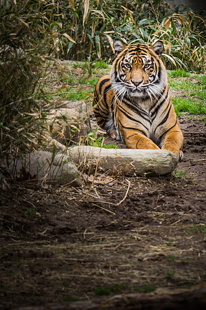 Smithsonian’s National Zoo