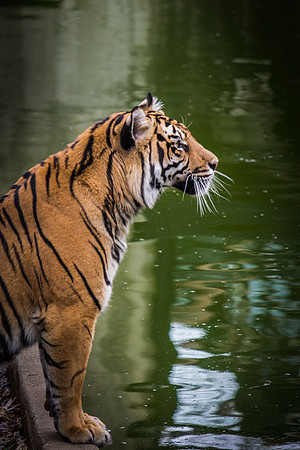 Smithsonian’s National Zoo