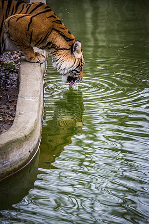 Smithsonian’s National Zoo