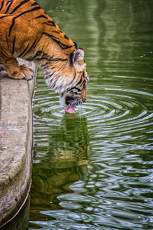Smithsonian’s National Zoo