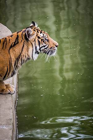 Smithsonian’s National Zoo