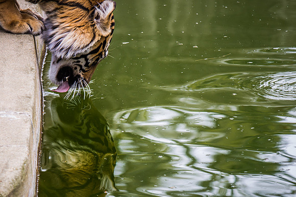 Smithsonian’s National Zoo