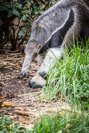 Smithsonian’s National Zoo