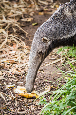 Smithsonian’s National Zoo