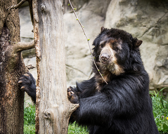 Smithsonian’s National Zoo